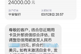 自贡如何避免债务纠纷？专业追讨公司教您应对之策